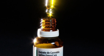 Anvisa aprova cultivo de cannabis por empresas e amplia acesso