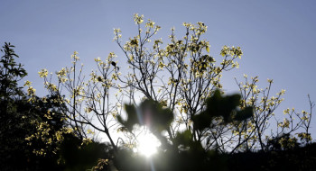 Começa hoje Semana Nacional de Ciência e Tecnologia