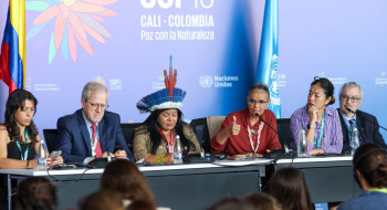 COP16 cria órgão para atender povos indígenas e quilombolas