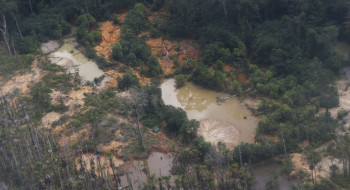Edital prorroga inscrições para restauração em terras indígenas