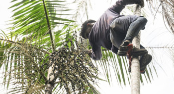 Governo investe R$ 132 milhões em regularização fundiária na Amazônia