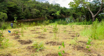 Parque não inclui área destinada a salvar BRB, diz associação