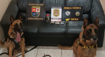 Polícia Civil e Militar deflagram operação contra o tráfico de drogas em Presidente Epitácio