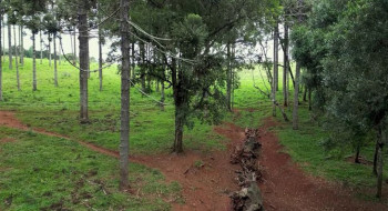 Produção inédita resgata histórico Caminho do Peabiru na TV Brasil