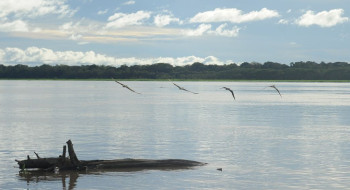 Seca: governo paga auxílio para pescadores da Região Norte