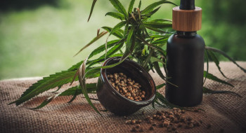 Segunda edição da ExpoCannabis começa hoje em São Paulo